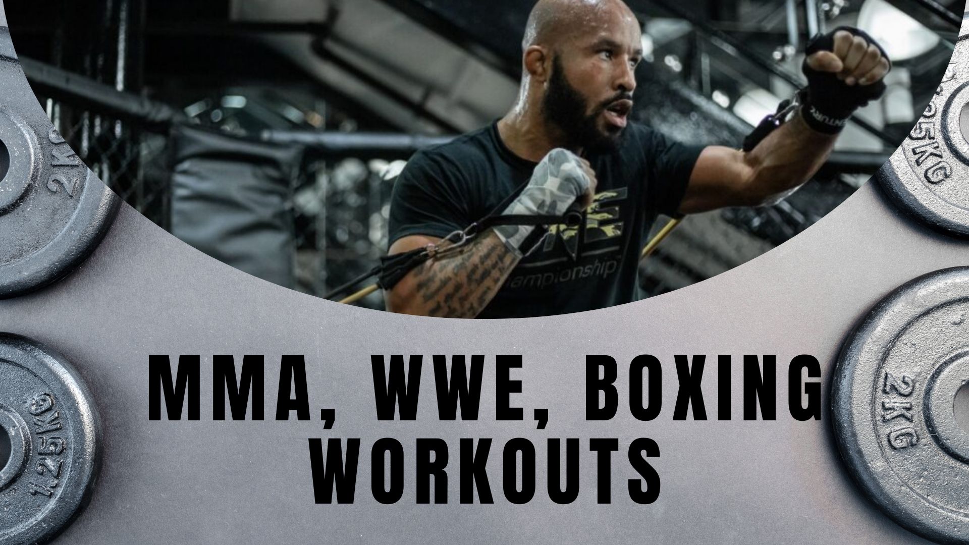 MMA, WWE, Boxing Workouts